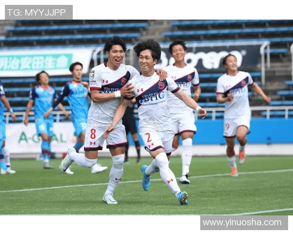 新泻天鹅与甲府风林比赛数据深度分析及战术对比探讨